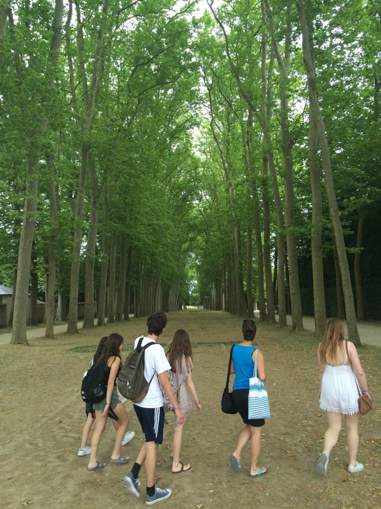 Exploring with drawing and painting!