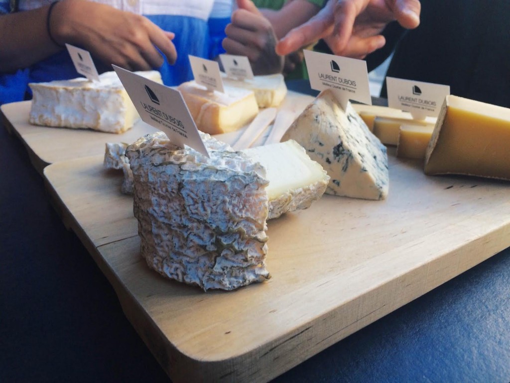 Cheese tasting activity! Taken by Zoe!
